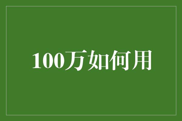 100万如何用