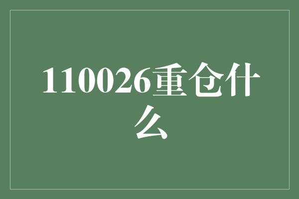 110026重仓什么