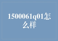 1500061Q01：一种超越期望的数字化解决方案