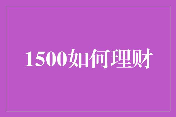 1500如何理财