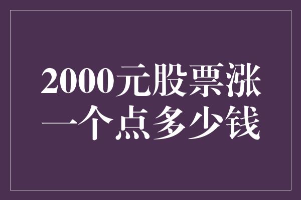 2000元股票涨一个点多少钱