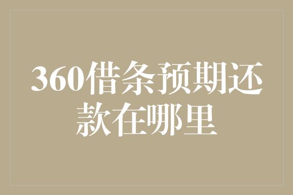 360借条预期还款在哪里