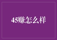 45岁开启新旅程：探究45赚模式