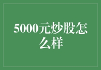 5000元炒股：一场豪赌还是投资新秀？