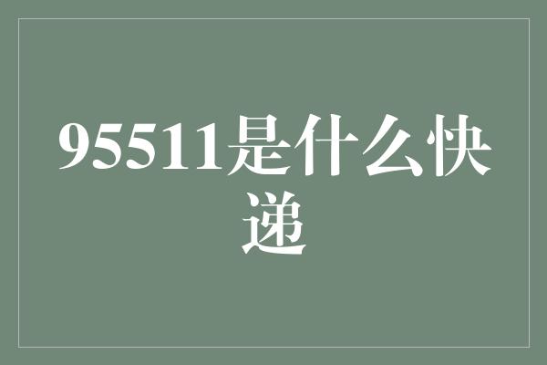 95511是什么快递