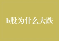 B股暴跌之谜：原因分析及启示