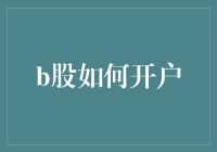 B股开户指南：全面解析B股市场的入门与投资策略