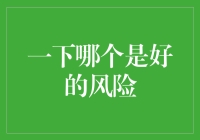 你愿意和一只自带剧透的鹦鹉做朋友吗？——浅谈一下哪个是好的风险