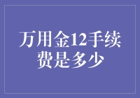 万用金12手续费详解与影响因素探析