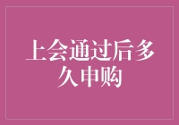 上会通过后的申购策略：市场波动中的定力与智慧