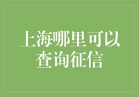 上海如何查询征信记录：官方渠道与个人征信报告解读