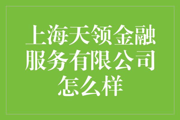 上海天领金融服务有限公司怎么样