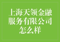 上海天领金融服务有限公司：行业领军者，助力中小企业成长