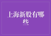 沪市新星：2023年上海股市值得关注的十大新股