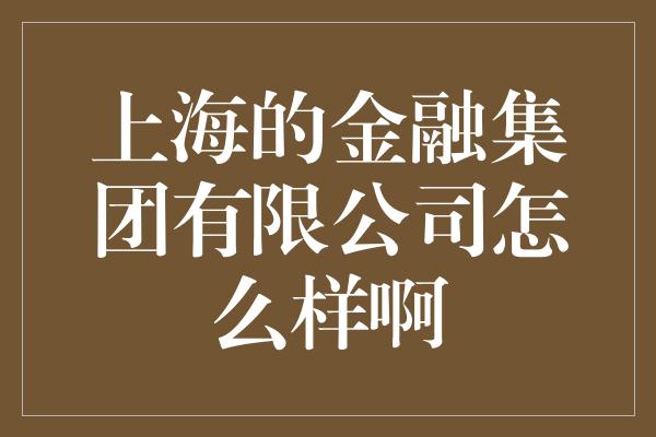 上海的金融集团有限公司怎么样啊