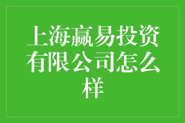 上海赢易投资有限公司怎么样