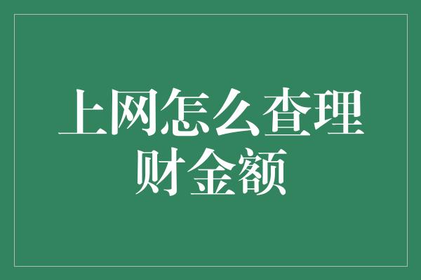 上网怎么查理财金额