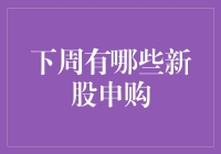 下周新股申购大比拼：谁能成为股市新星？