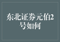 东北证券元伯2号：深度剖析其投资策略与市场适应性