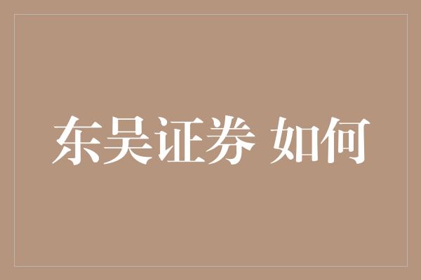 东吴证券 如何