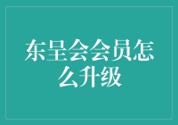 东呈会会员升级指南：从青铜到王者只需三步！