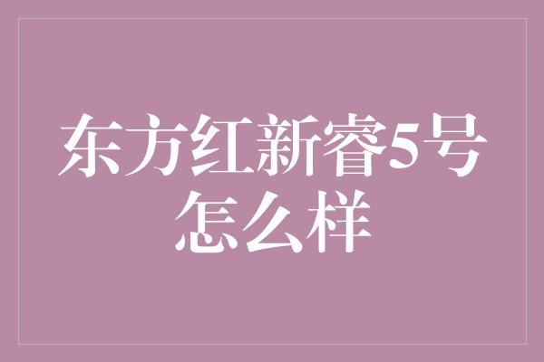 东方红新睿5号怎么样