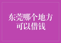 东莞：资源与策略——探索在本地寻求金融支持的可能性