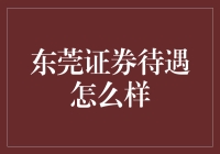 东莞证券待遇究竟如何？揭秘金融界的秘密！