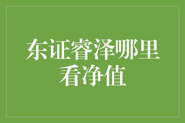 东证睿泽哪里看净值