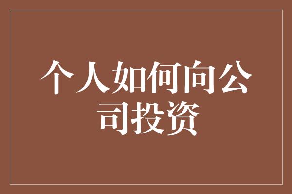 个人如何向公司投资