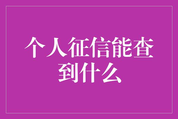 个人征信能查到什么