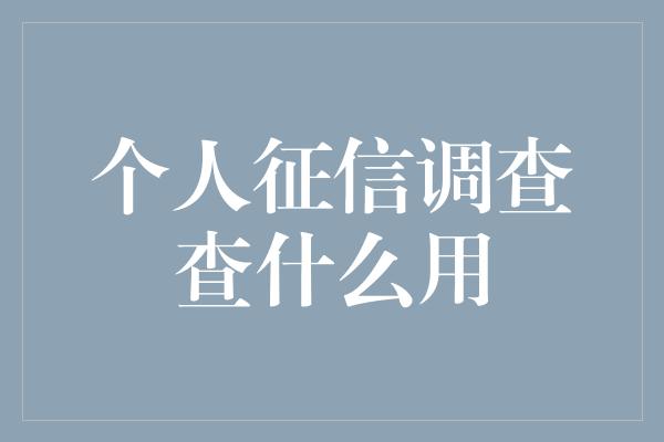 个人征信调查查什么用