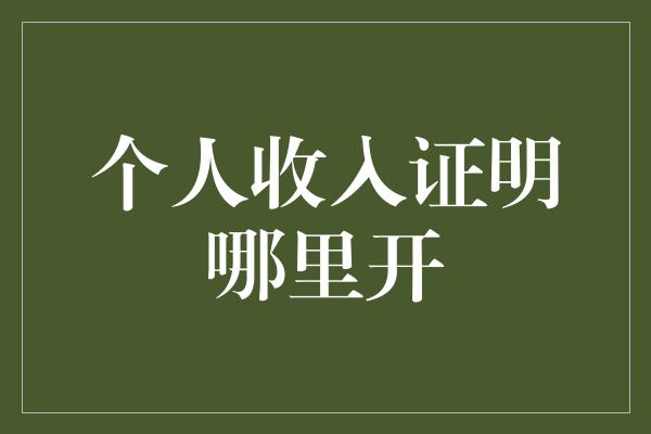 个人收入证明哪里开