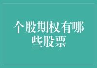 个股期权的股票精选：市场中的价值发现与风险控制