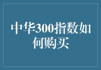 中华300指数投资指南：构建中国经济晴雨表的投资组合