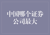 中国证券公司的重量级选手：谁是最大那只鲸鱼？