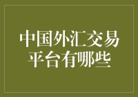 中国外汇交易平台：市场分析与选择指南