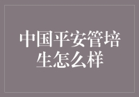 中国平安管培生：如何在保险界闯出一片天？