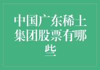 股市风云变幻，广东稀土股票成焦点，新手如何把握投资机会？