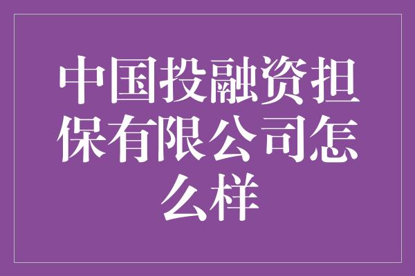 中国投融资担保有限公司怎么样