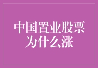 中国置业股票的上涨趋势及其背后原因解析