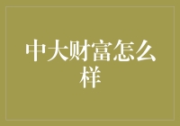 中大财富的潜力与挑战：构建可持续发展的现代金融体系