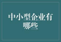 中小企业：多元化产业结构中的生力军