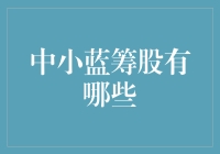 中国资本市场中的新兴蓝筹股：中小蓝筹股的投资价值探析