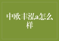 中欧丰泓A：值得关注的投资选择？