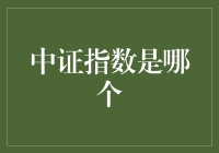 什么是中证指数？