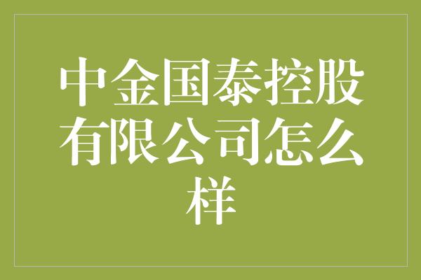 中金国泰控股有限公司怎么样