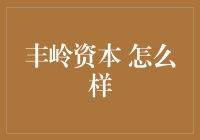 丰岭资本：专业的资产管理与投资策略分析