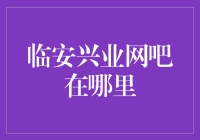 临安兴业网吧的地理位置与服务解析：寻找隐藏在都市中的网络乐园