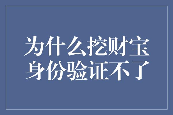 为什么挖财宝身份验证不了